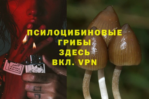 бошки Баксан