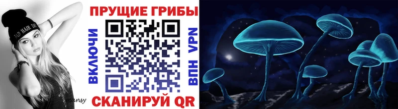 сколько стоит  кракен онион  Галлюциногенные грибы GOLDEN TEACHER  Красный Кут 